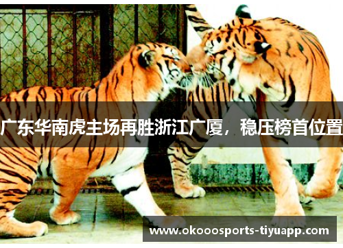 广东华南虎主场再胜浙江广厦，稳压榜首位置