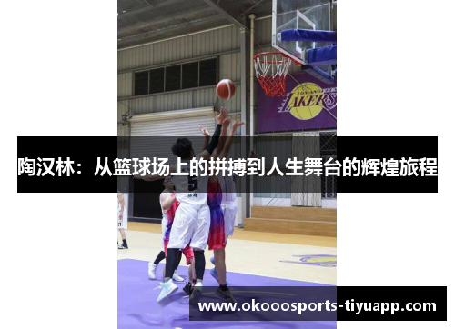 陶汉林：从篮球场上的拼搏到人生舞台的辉煌旅程